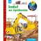 Indul az építkezés