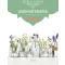 Aromaterápia