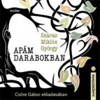 Apám darabokban - Hangoskönyv