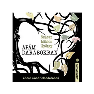 Apám darabokban - Hangoskönyv