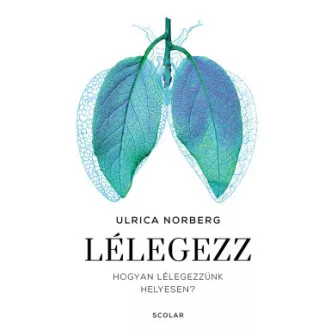 Lélegezz - Hogyan lélegezzünk helyesen?