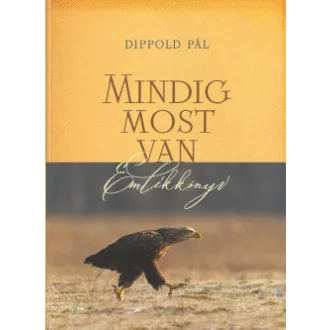 Dippold Pál - Mindig most van - Emlékkönyv
