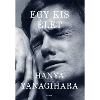 Hanya Yanagihara - Egy kis élet