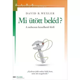 Mi ütött beléd? - A nehezen kezelhető férfi