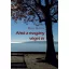 Ahol a magány véget ér