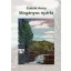 Magányos nyárfa
