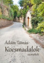 Kocsmadalok - Szonettek