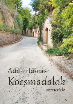 Kocsmadalok - Szonettek