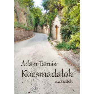 Kocsmadalok - Szonettek