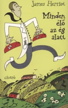 Minden élő az ég alatt