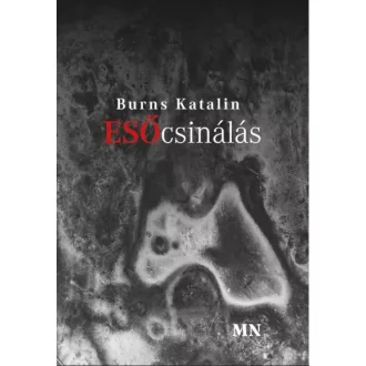 Esőcsinálás