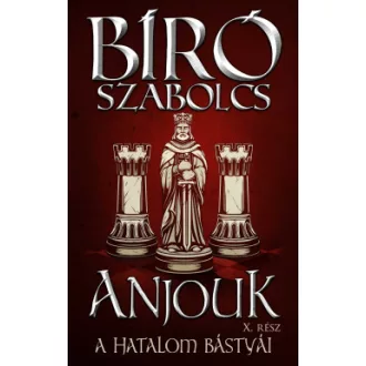 Bíró Szabolcs - Anjouk X. - A hatalom bástyái