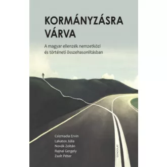 Kormányzásra várva