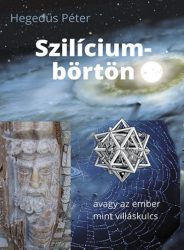 Szilíciumbörtön - avagy az ember mint villáskulcs