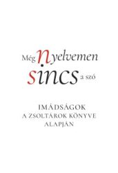 Galsi Árpád - Még nyelvemen sincs a szó