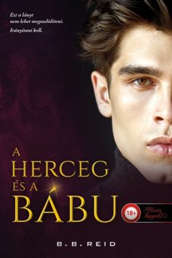 A herceg és a bábu - Riválisok játszadozása 1.