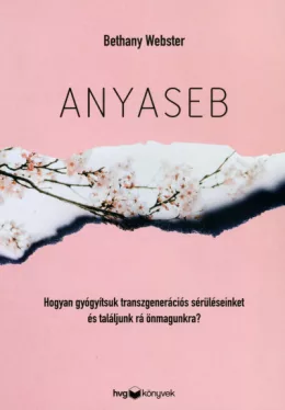 Anyaseb