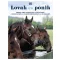 Lovak és pónik