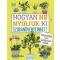 Hogyan ne nyírjuk ki szobanövényeinket?