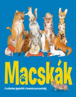 Macskák
