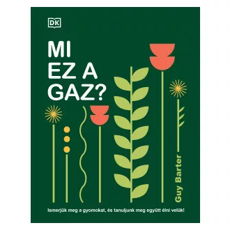 Mi ez a gaz?