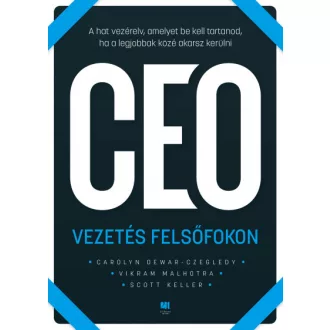 Vezetés felsőfokon
