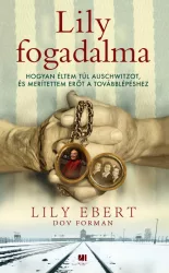 Lily fogadalma - füles, kartonált