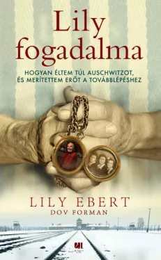 Lily fogadalma - füles, kartonált