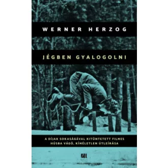Jégben gyalogolni