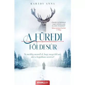 A füredi földesúr