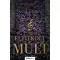 Eltitkolt múlt - bővített kiadás - Élfestett