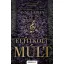 Eltitkolt múlt - bővített kiadás - Élfestett