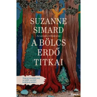 A bölcs erdő titkai