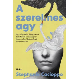 A szerelmes agy