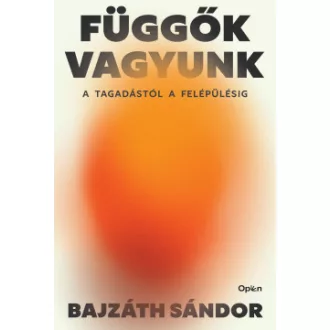 Bajzáth Sándor - Függők vagyunk - A tagadástól a felépülésig