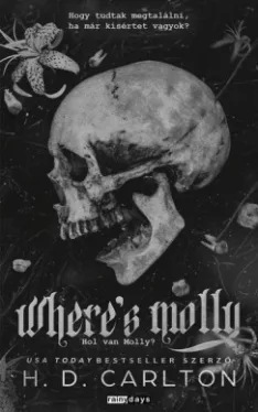 Where's Molly - Hol van Molly? - Éldekorált