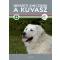 Nemzeti kincsünk a kuvasz