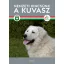 Nemzeti kincsünk a kuvasz