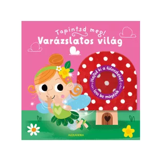 Varázslatos világ