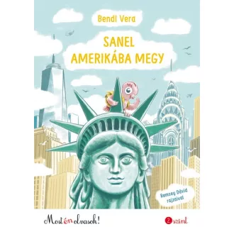 Sanel Amerikába megy - Most én olvasok! 2. szint*