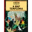 Hergé - Tintin kalandjai 14. - A Nap temploma