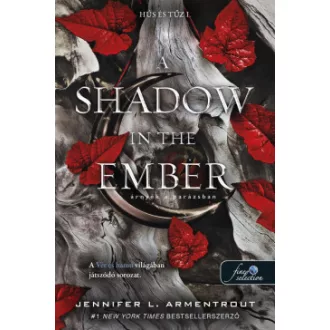  A Shadow in the Ember - Árnyék a parázsban - Hús és tűz 1.