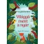 Világgá ment a nyár - új formátum