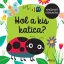 Hol a kis katica?