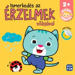 Kicsik könyve - Ismerkedés az érzelmek világával