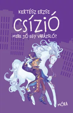 Csízió - Mire jó egy varázsló?
