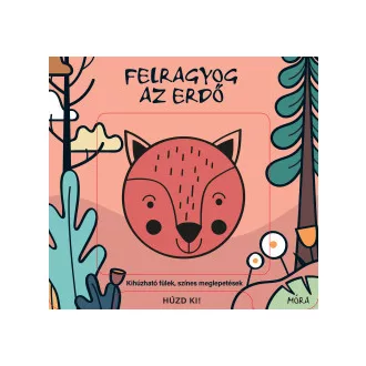 Felragyog az erdő