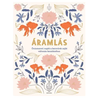 Áramlás