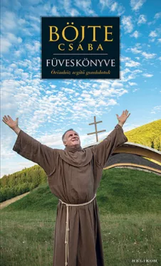 Böjte Csaba füveskönyve - Örömhöz segítő gondolatok