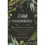A zöld boszorkány